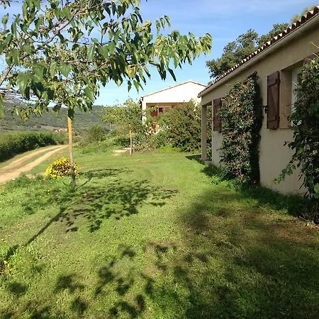 Residence Cucunacciu Cargèse Chambre photo