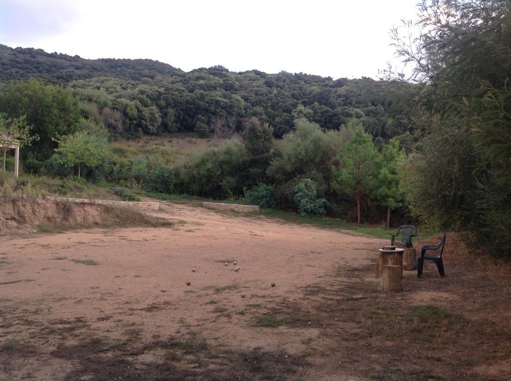 Apartment Cucunacciu