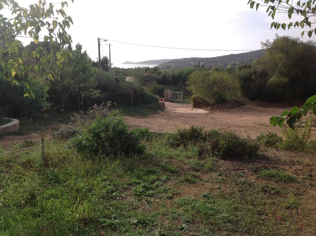 Cucunacciu Cargese