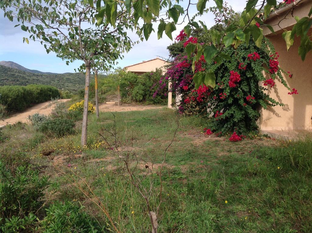 Cucunacciu * Cargese